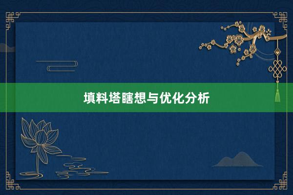 填料塔瞎想与优化分析