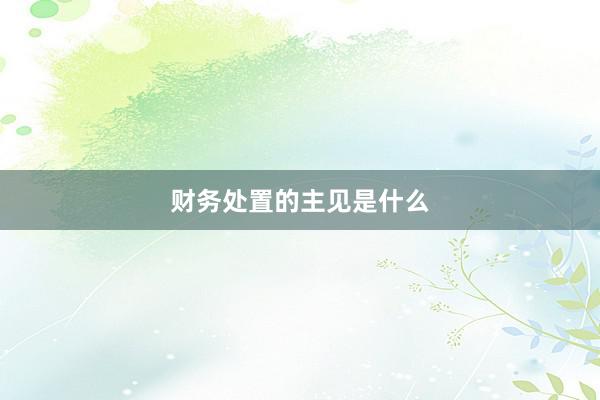 财务处置的主见是什么