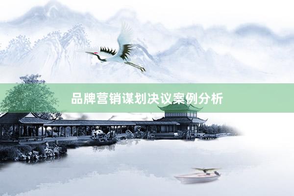 品牌营销谋划决议案例分析
