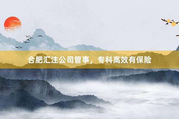 合肥汇注公司管事，专科高效有保险