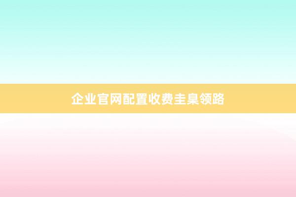 企业官网配置收费圭臬领路