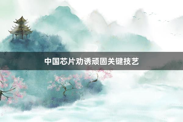 中国芯片劝诱顽固关键技艺