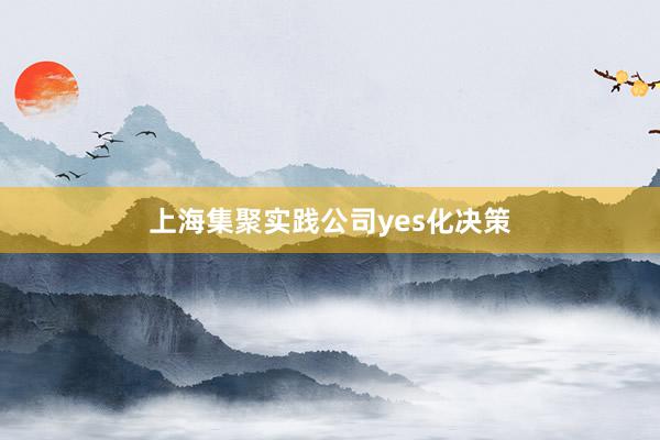 上海集聚实践公司yes化决策