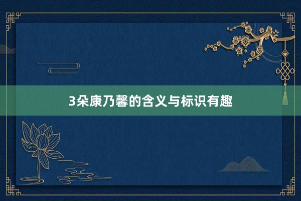 3朵康乃馨的含义与标识有趣