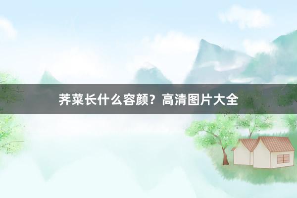 荠菜长什么容颜？高清图片大全